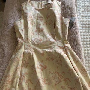 NWT A-line dress